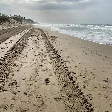 Elviria Paradiso Marbella